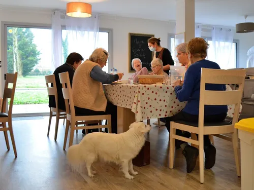 "Ages et Vie" : des coloc' pour seniors au lieu des EHPAD